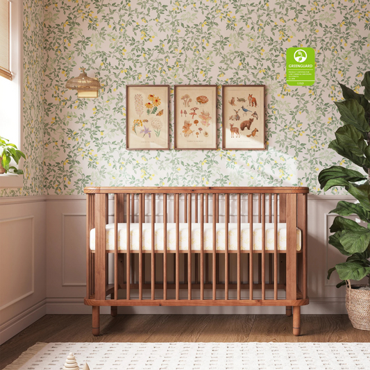 Why Choose an Eco-Friendly Baby Crib?